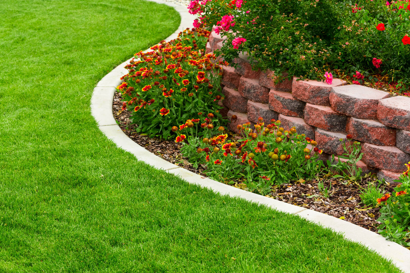Bay City Tree Services