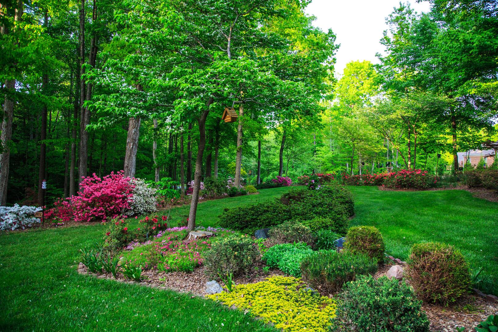 Texas Turf Design