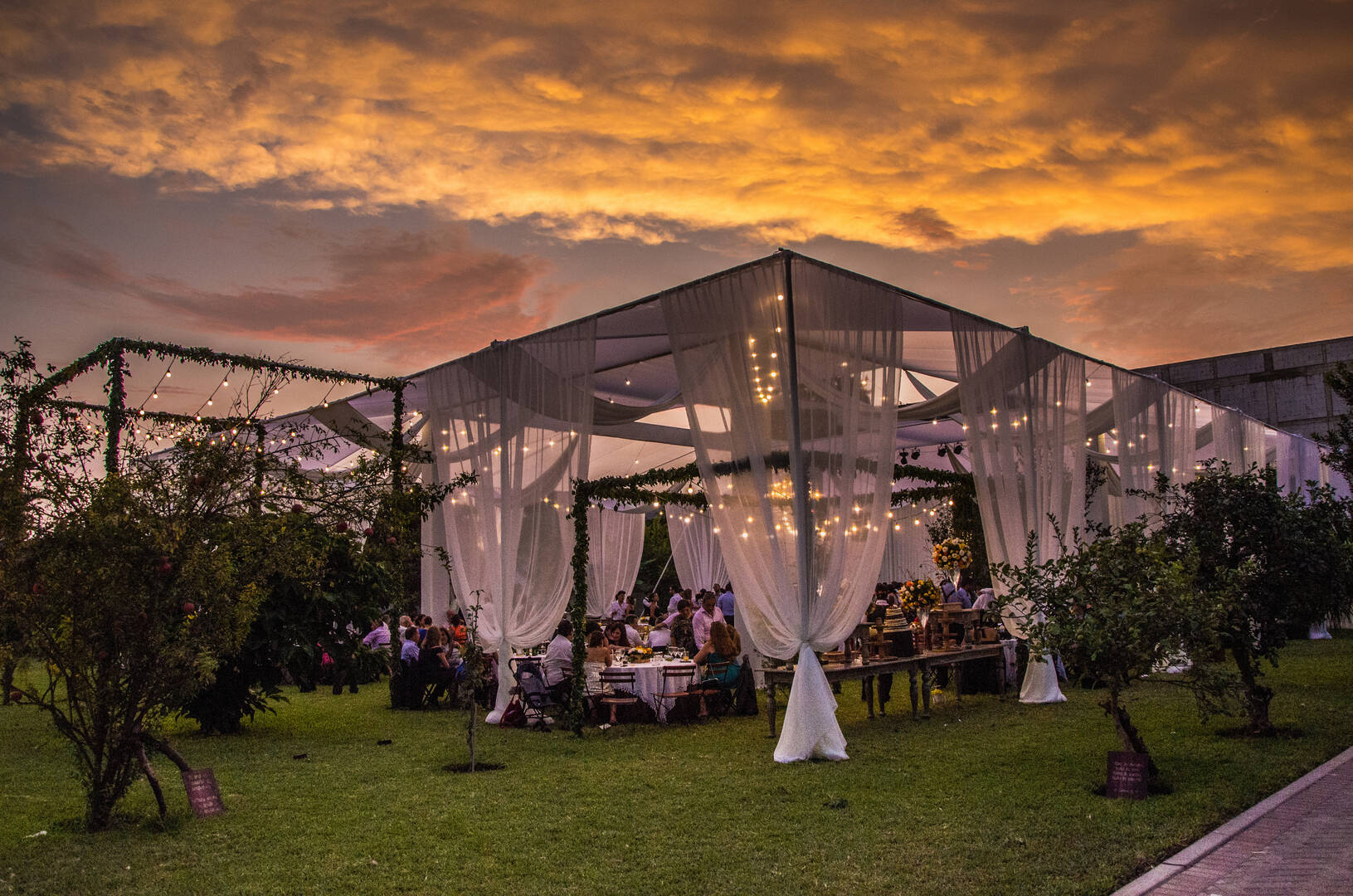Ricki Lewis Events